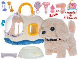 Obrázek produktu: Pejsek plyšový 19 cm, mix barev