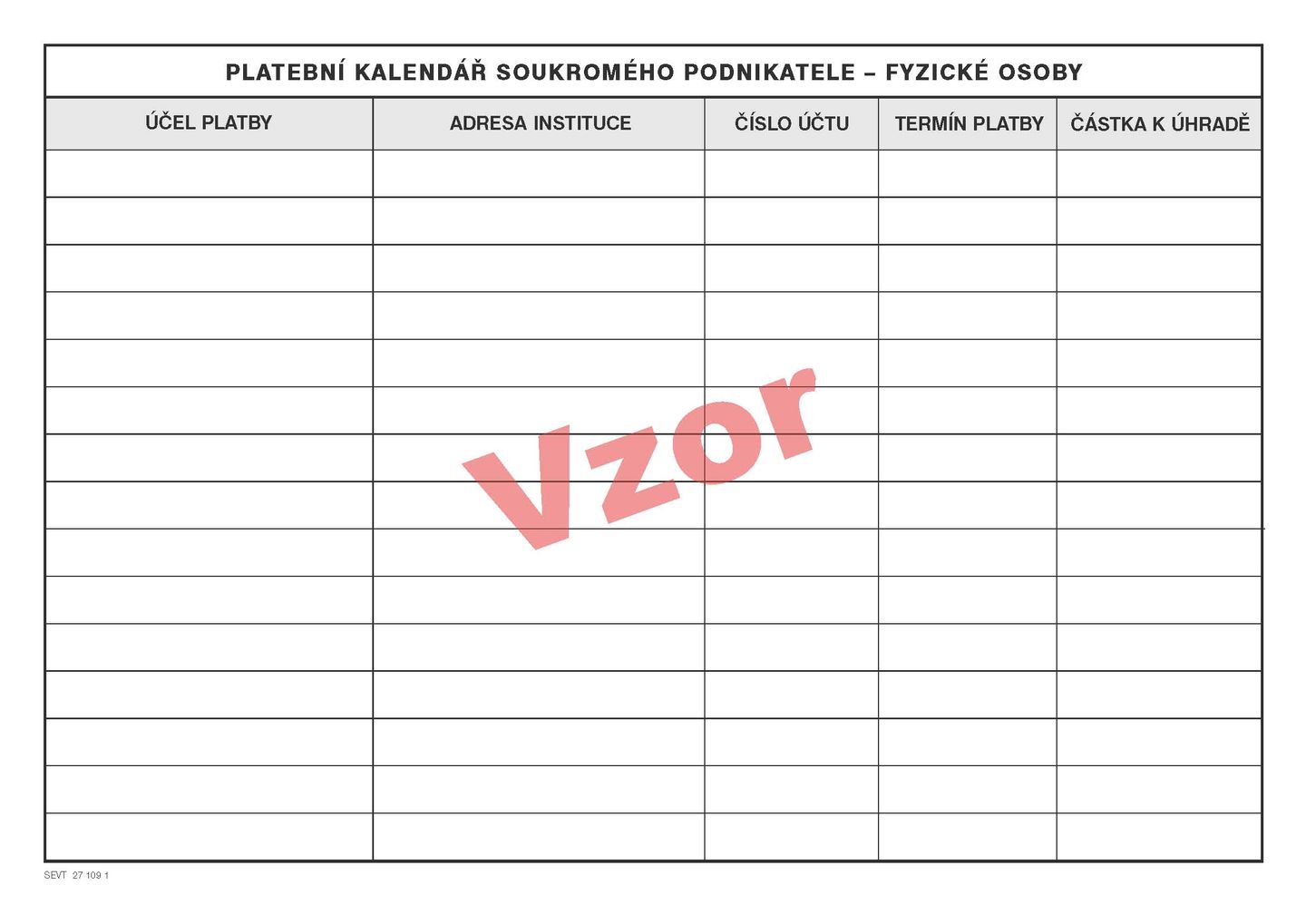 Peněžní deník pro neplátce DPH minimální povinné členění příjmů a výdajů