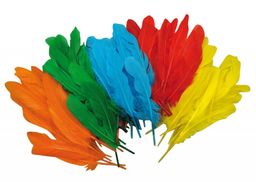 Obrázek produktu: Peří indiánské , 120 ks