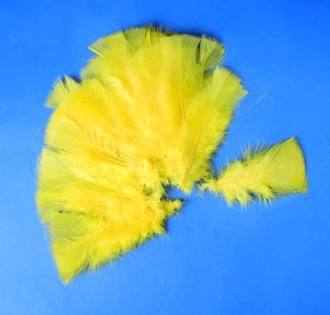 Peří - žluté, 48 ks