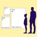 32216099887.2.JPG