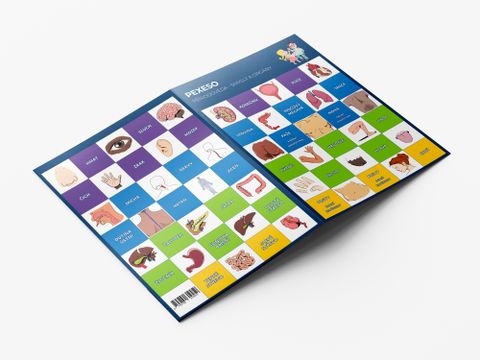 Obrázek produktu: Pexeso - Přírodověda - Smysly a orgány