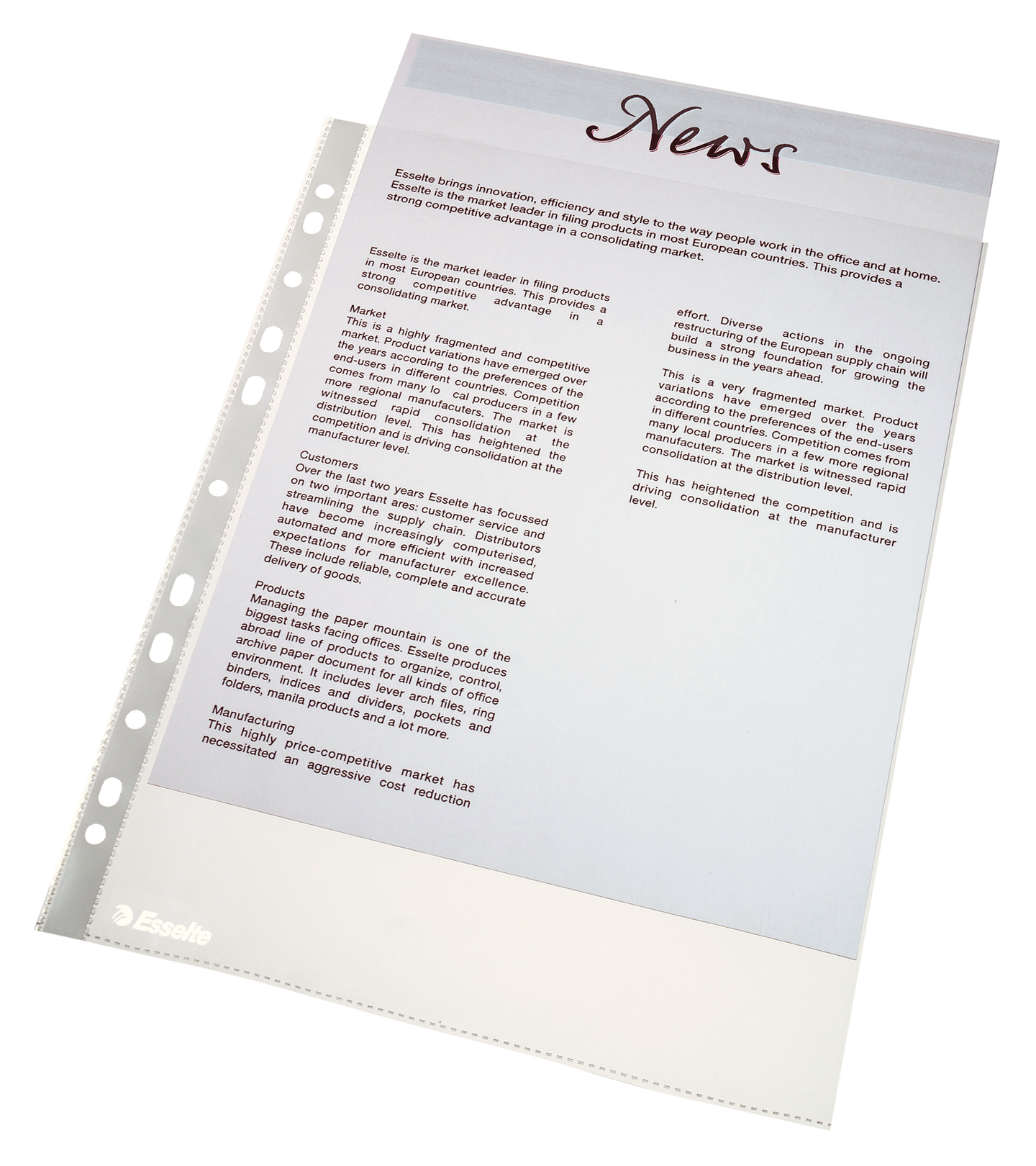 Plastové kapsy Esselte Economy A4 43 mic, balení 100 ks