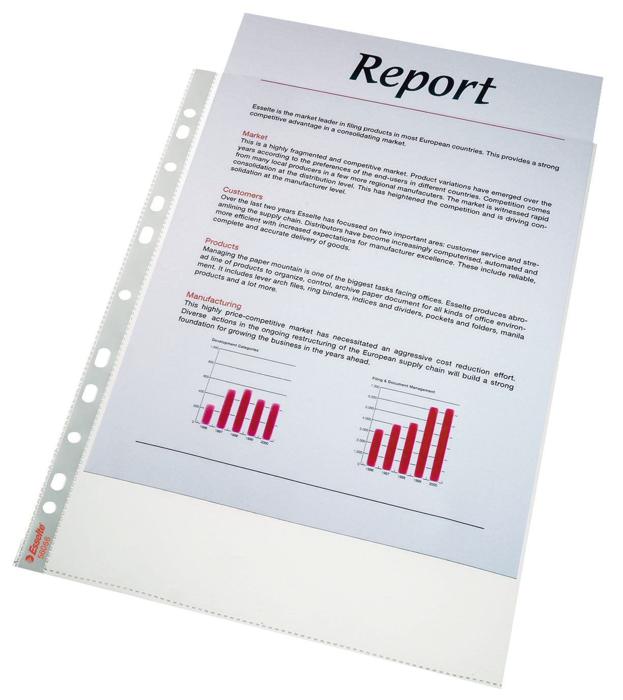 Plastové kapsy Esselte Standard A4 55 mic, balení 100 ks