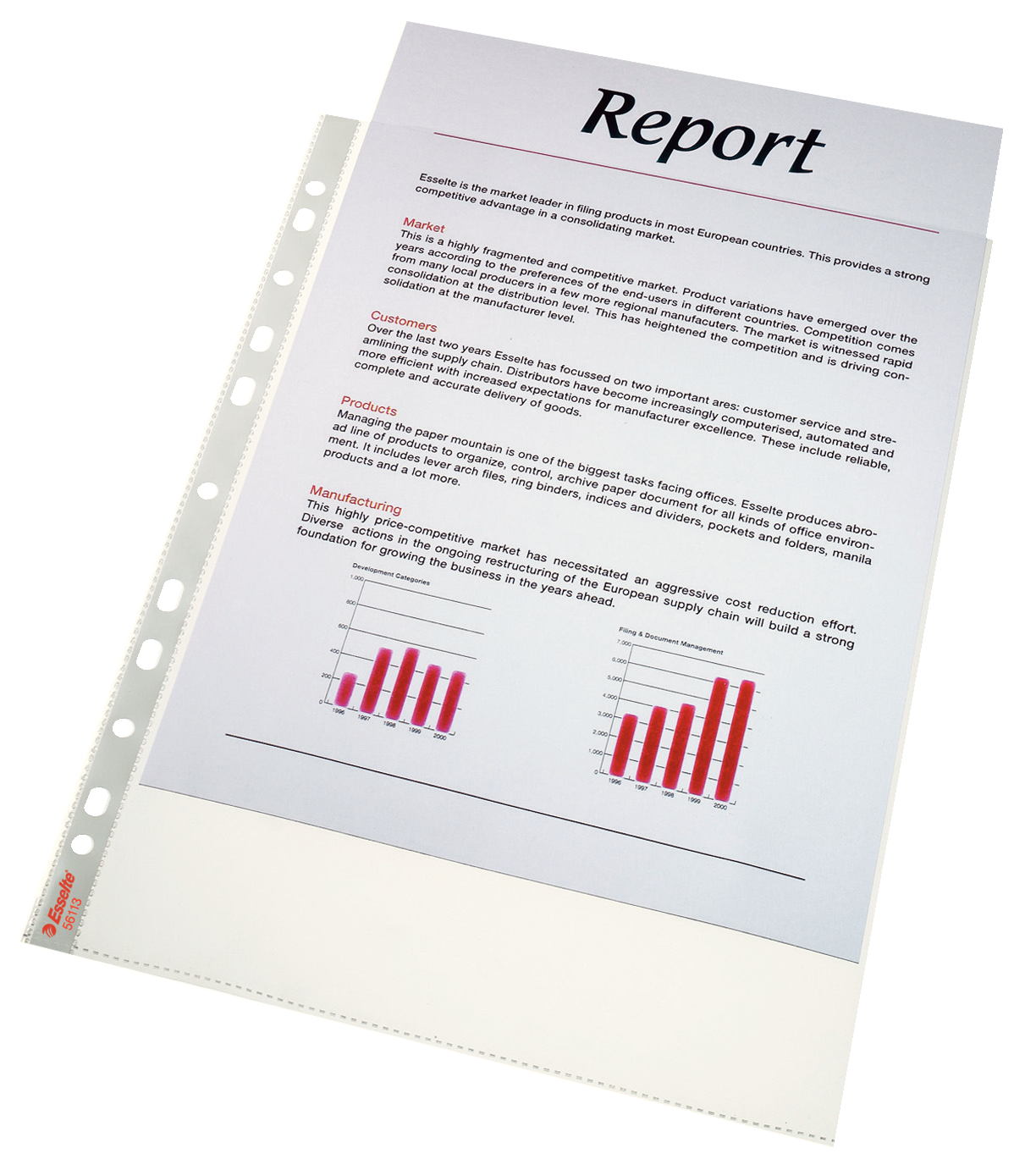 Plastové kapsy Esselte Standard A4 75 mic, balení 100 ks