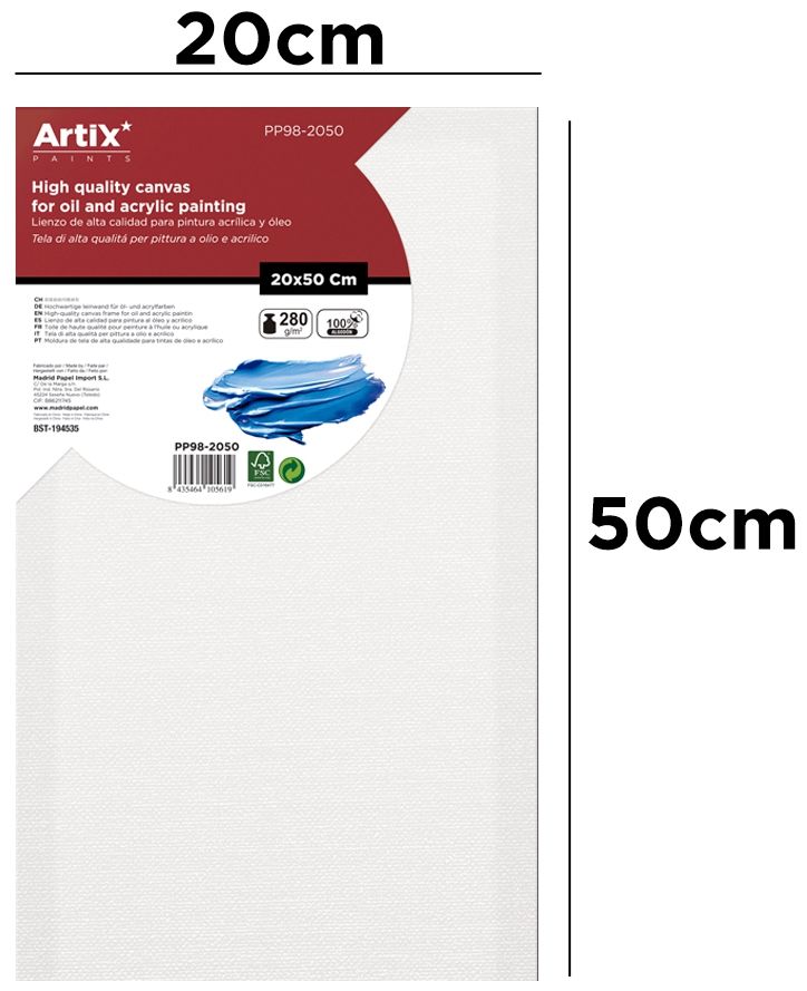 Plátno v rámu 20 × 50 cm