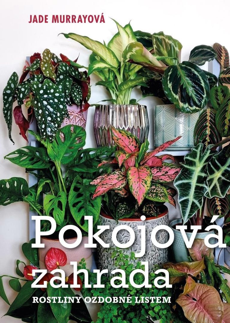 Pokojová zahrada Euromedia Group, a.s.