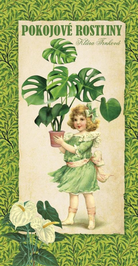 Obrázek produktu: Pokojové rostliny