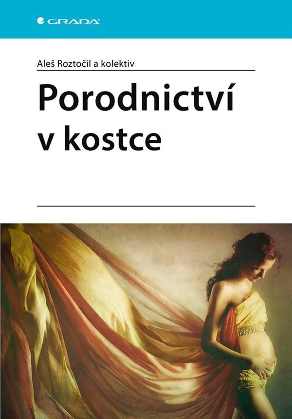 Levně Porodnictví v kostce