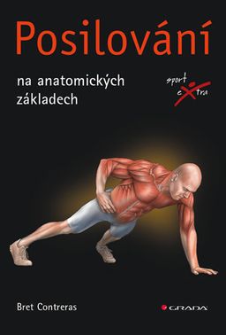 Obrázek produktu: Posilování na anatomických základech