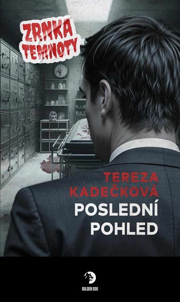 Poslední pohled - Zrnka temnoty 22