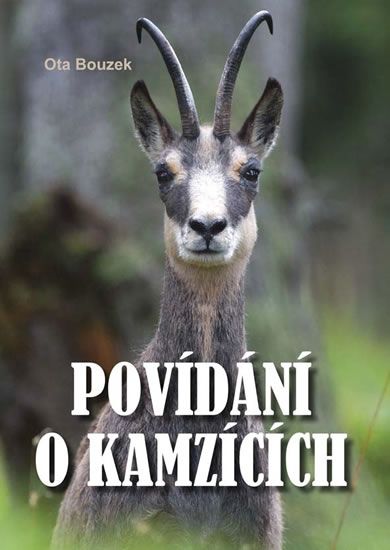 Obrázek produktu: Povídání o kamzících