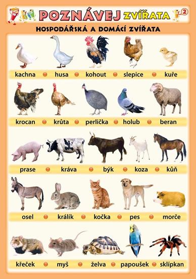 Obrázek produktu: Poznávej zvířata - Hospodářská a domácí zvířata