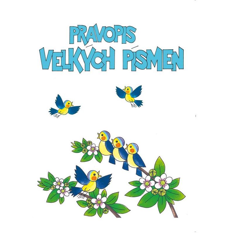 Pravopis velkých písmen - procvičovací sešit