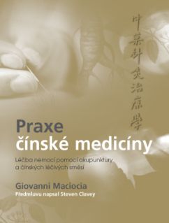 Obrázek produktu: Praxe čínské medicíny