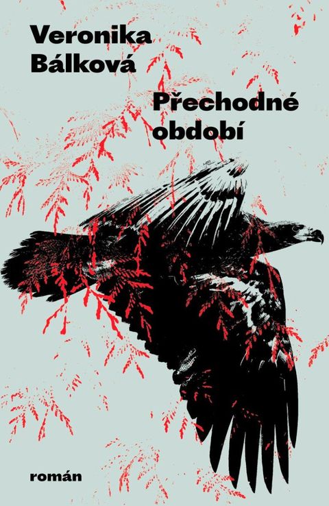 Obrázek produktu: Přechodné období