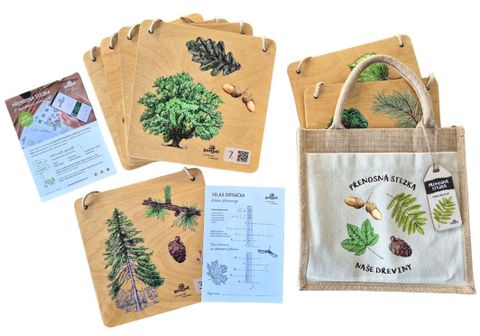 Obrázek produktu: Přenosná stezka - Naše dřeviny