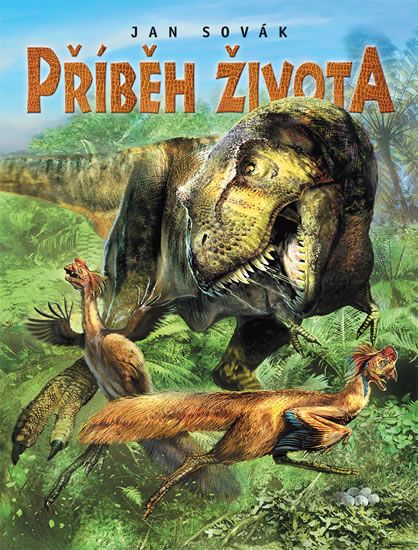 Obrázek produktu: Příběh života