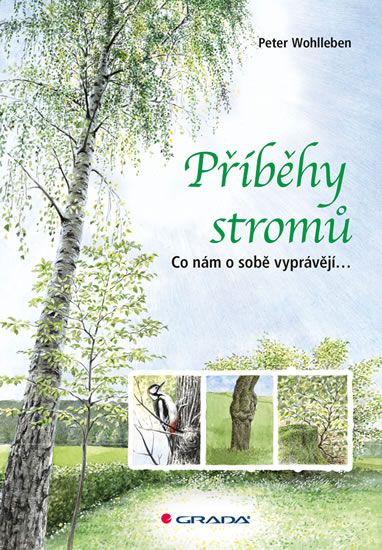 Obrázek produktu: Příběhy stromů - Co nám o sobě vyprávějí...