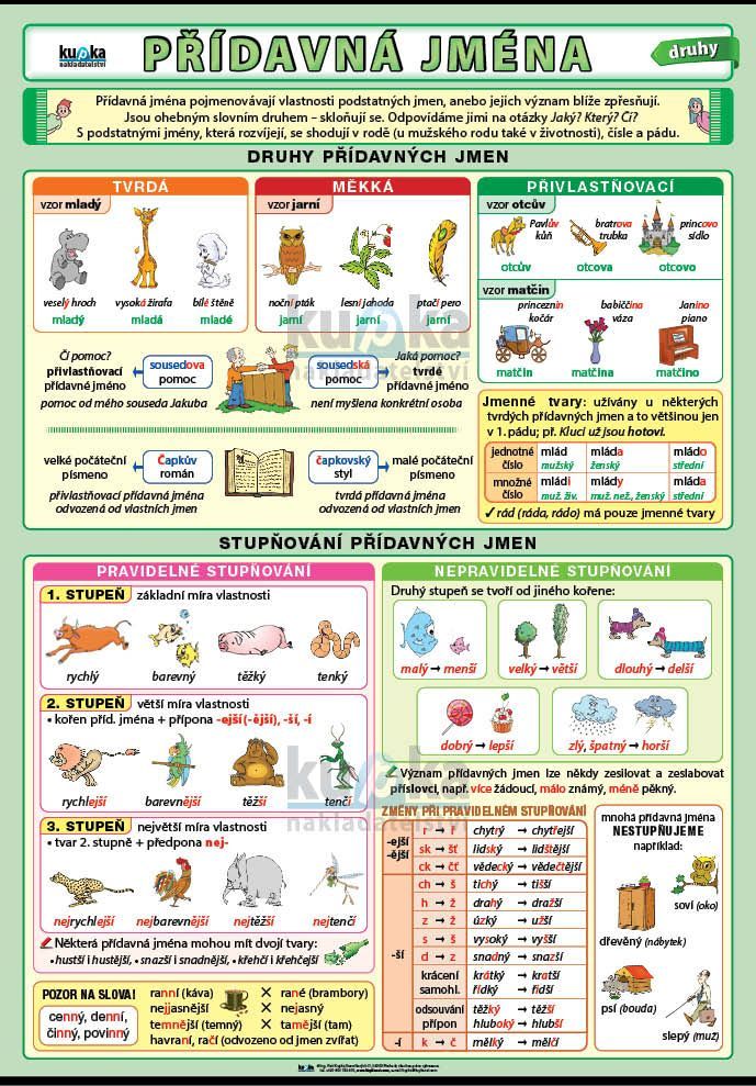 Přídavná jména - druhy A4 (30x21 cm)
