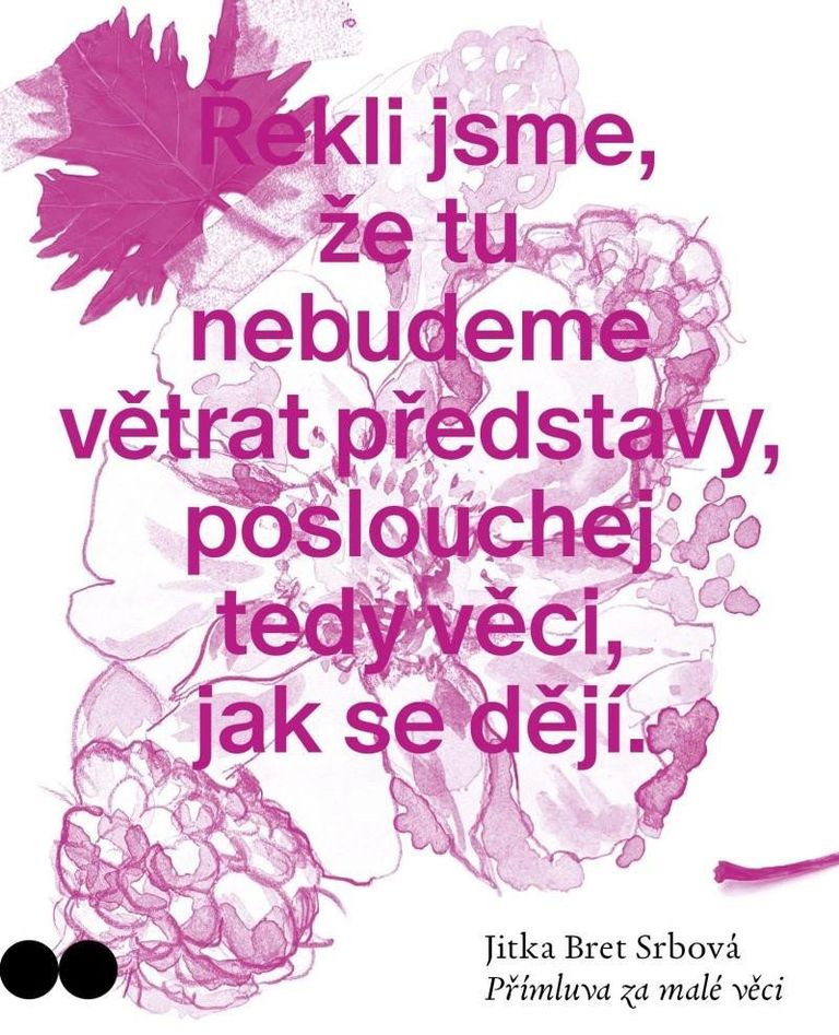 Levně Přímluva za malé věci
