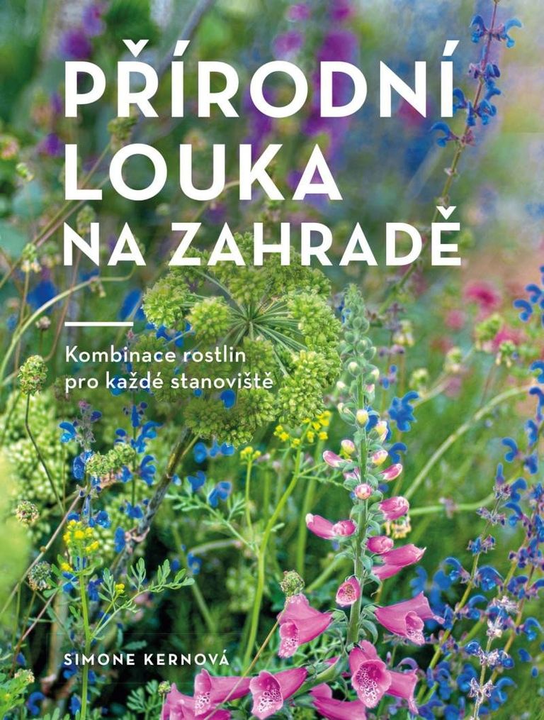 Přírodní louka na zahradě Euromedia Group, a.s.