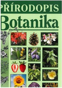 Obrázek produktu: Přírodopis - Botanika (učebnice)