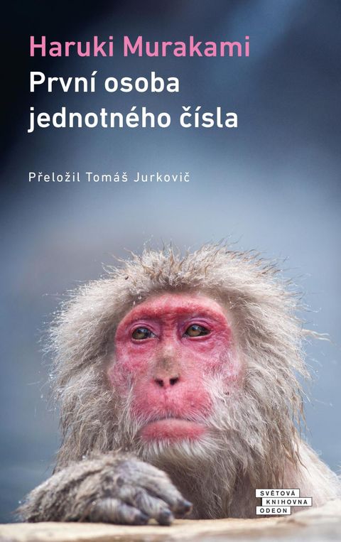 Obrázek produktu: První osoba jednotného čísla