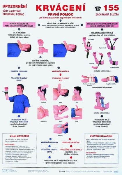 První pomoc - Krvácení