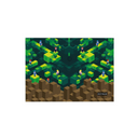 58651129202.png