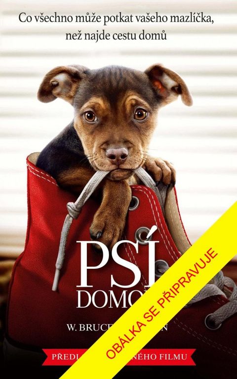 Obrázek produktu: Psí domov