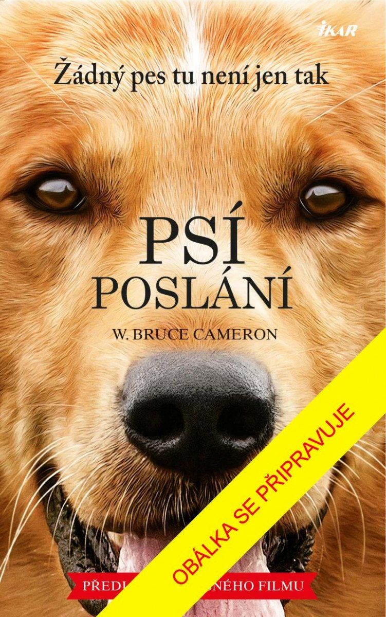 Psí poslání