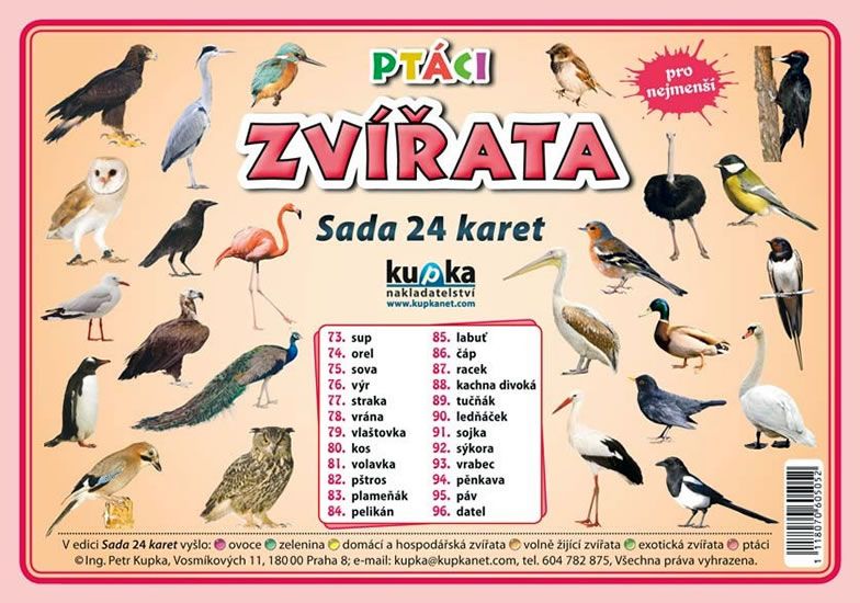 Ptáci zvířata - Sada 24 karet