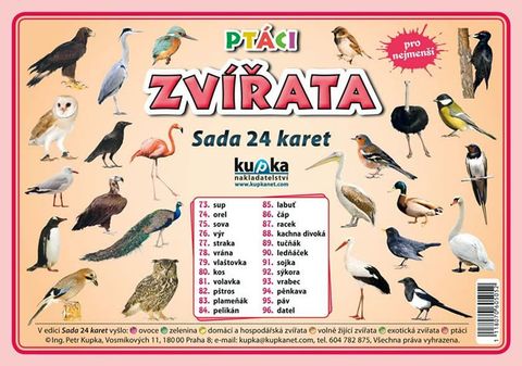 Obrázek produktu: Ptáci zvířata - Sada 24 karet