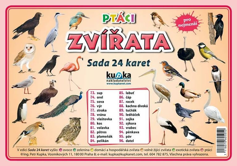 Levně Ptáci zvířata - Sada 24 karet