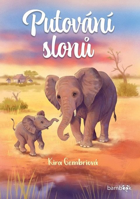 Obrázek produktu: Putování slonů