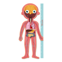 570560061447.2.png