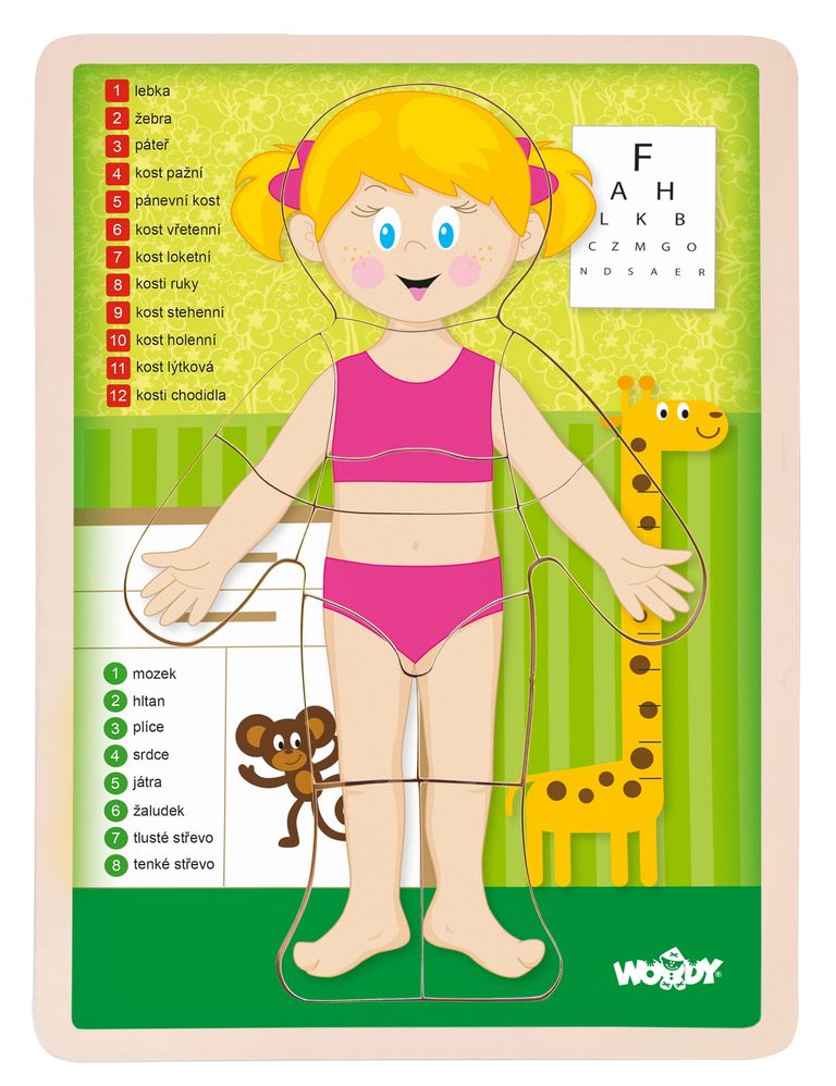WOODY Oboustranné puzzle Lidské tělo - Dívka