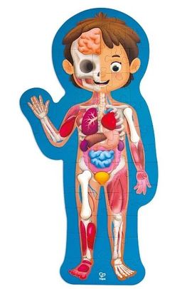 Obrázek produktu: Puzzle - lidské tělo