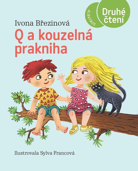 Obrázek produktu: Q a kouzelná prakniha