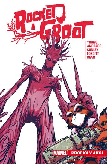 Rocket a Groot 1: Profíci v akci - Skottie Young