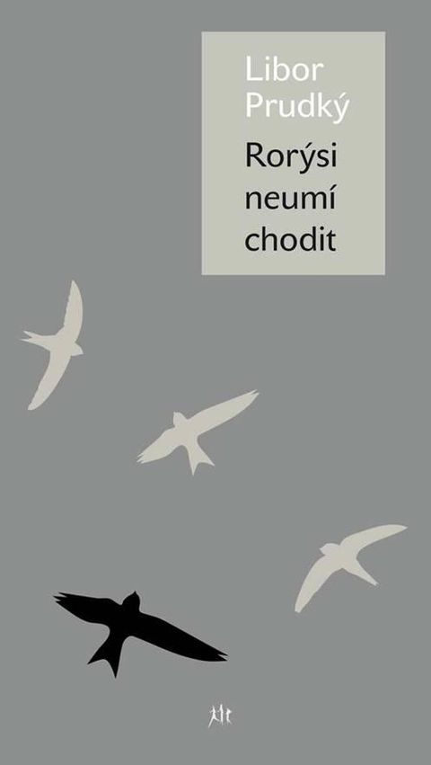 Obrázek produktu: Rorýsi neumí chodit