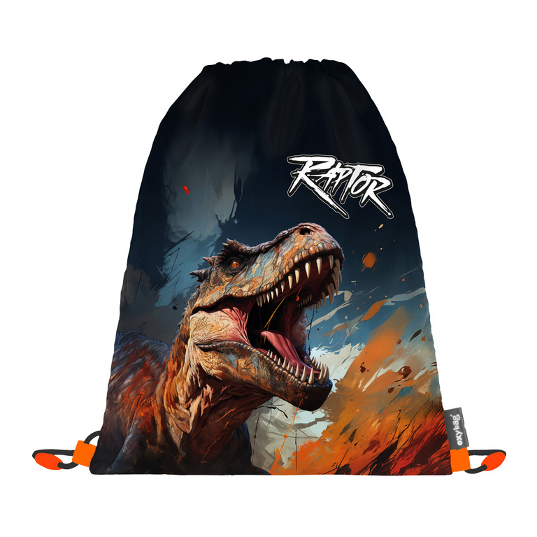 Levně Sáček na cvičky Dino