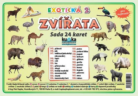 Obrázek produktu: Sada 24 karet - zvířata (exotická 2)