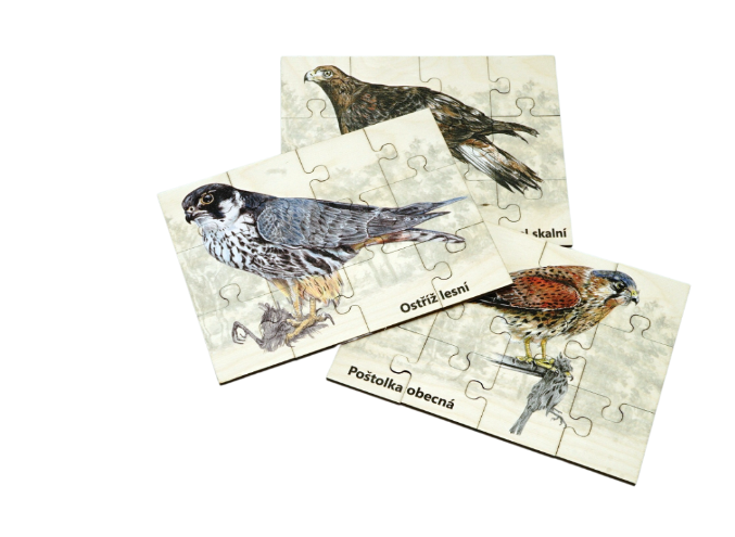Levně Sada puzzle - dravci a sovy