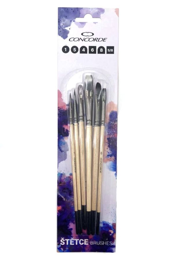 Sada štětců CONCORDE Natural nylon 6 ks, blistr