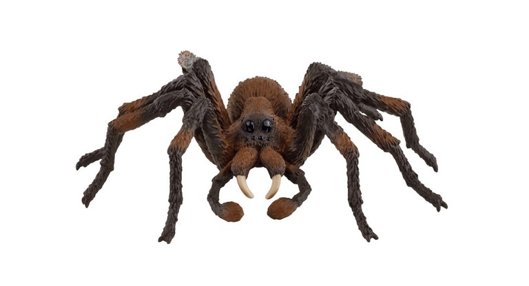 Schleich Aragog