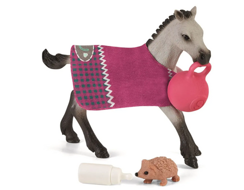 Obrázek produktu: Schleich 42534 Zábava pro zvířata