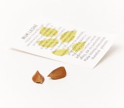 Obrázek produktu: Semínko buku lesního