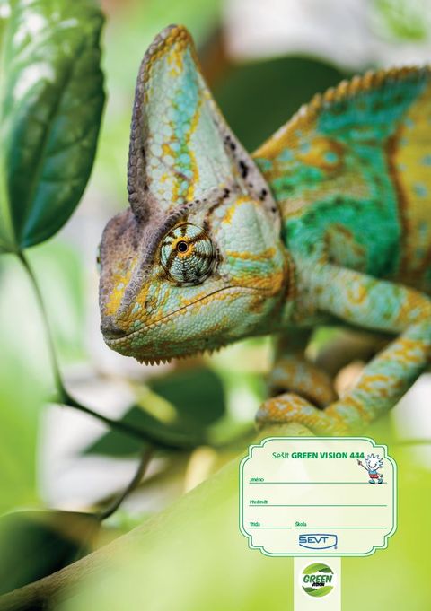 Obrázek produktu: SEVT Sešit GREEN VISION 444, A4 40 l. linkovaný 8 mm